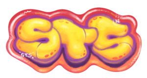 STS bub1 skateboardin' اس تی اس اسکیت بردینگ